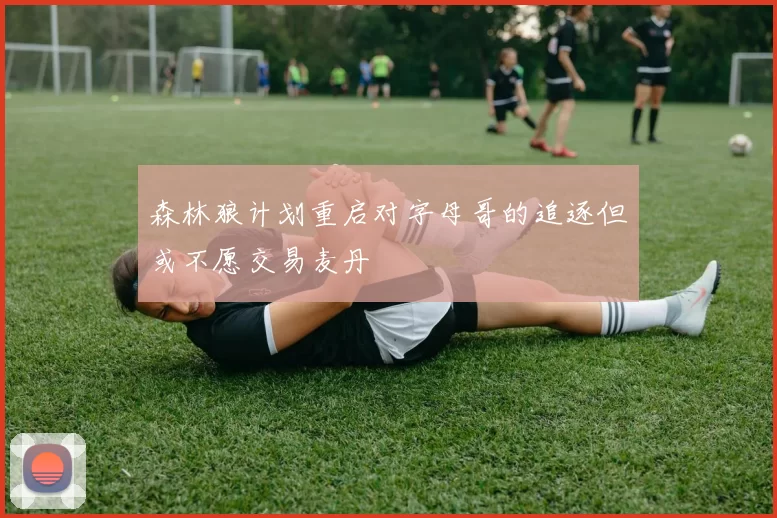 森林狼计划重启对字母哥的追逐但或不愿交易麦丹